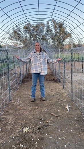 WHATS NEW behind the scenes at Lil Patch of Heaven. I’m going to post more about what I’m doing to this area. This is the same spot I was planting potatoes in during my Facebook live video the other week and I am so excited about it’! this ground hasn’t been touched so it’s going to need some love but after my well fiasco, I am happy to clean up this spot and finally have some good memories for this area .my plan is to use these cattle panels to trellis cucumbers and pumpkins. I will post more a