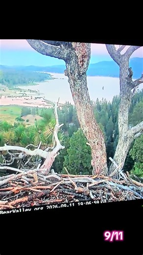 Shadow and Kaydee: Heartwarming update from Big Bear Valley