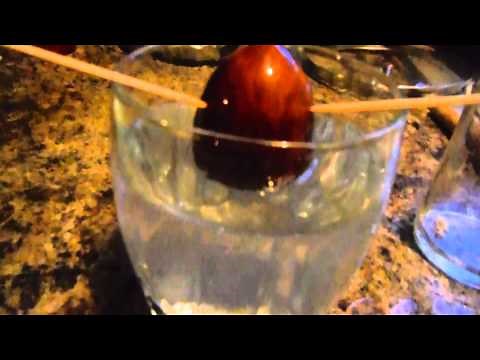 How to root an avocado seed!