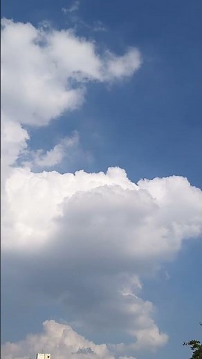 Official Audio for “Baby Elephant Walk” by Henry Mancini & His Orchestra