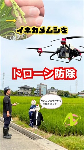ドローンでイネカメムシを防除 🌾🚁