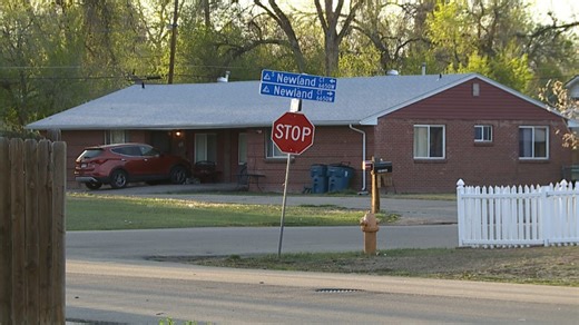 Lakewood holding special election to determine future of zoning ordinances