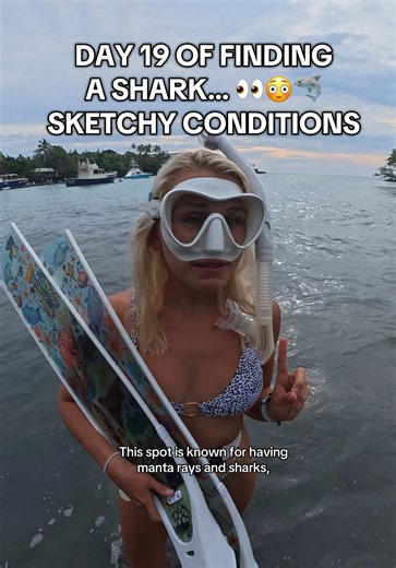 Zero visibility with sharks KNOWN to be all around here… and the ocean surprised me in the BEST WAY!😱🥹🩵 #sharks #freediving #konahawaii #ocean #hawaii