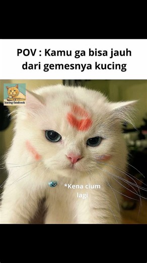 Funny internet memes #shorts #indonesiameme #memes #efbmemes #dailymemes #funny #funnyvideo #rand...