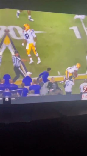 2019 lsu tigers highlights