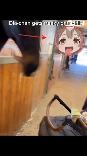 That GIF became real SO QUICK! | Sorrachat Suwannachot