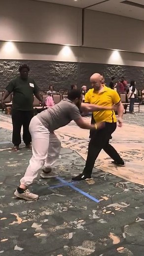 Tai Chi Push Hands: The Supreme Blueprint