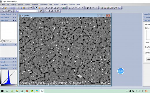 DM软件为图片添加标尺，测量尺寸。