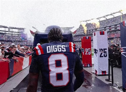 The Rising Star: Stefon Diggs Highlights