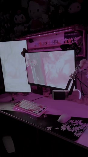 𝔚𝔥𝔬 𝔦𝔰 𝔱𝔥𝔦𝔰 𝔰𝔱𝔯𝔞𝔫𝔤𝔢𝔯 ᶻ 𝘇 𐰁 #setup #pinksetups #pcbuilds #techtok #pcsetup