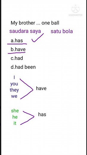 Bahas Soal Bahasa Inggris Menyatakan Kepemilikan dengan Has / Have