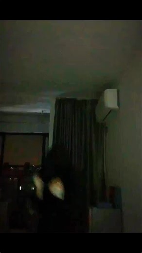 Mastering Shadow Boxing Techniques