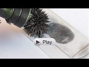 Basic Magnetic Latent Fingerprint Kit