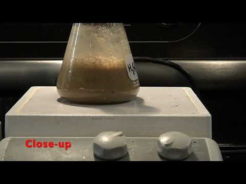 How Corn Syrup is Made - Unit 7.4 Matter Cycling & Photosynthesis Lesson 12