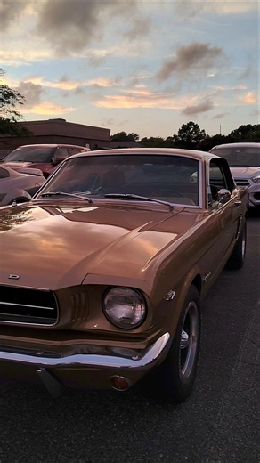 1965 Ford Mustang