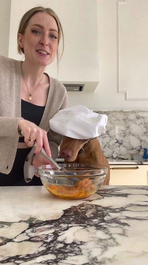 it’s a very special day: we’re making PUPCAKES 🐾🧁 full recipe in the link in my bio! #pupcakes #dogcake #baking #bakingwithdogs #dogbirthdaycake