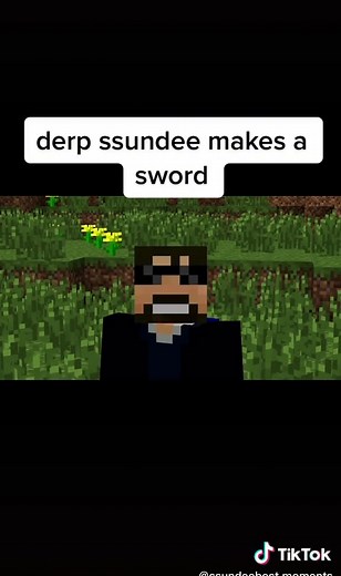 thank you derp @ssundee #ssundee #derpssundee #derppssundmakeasword