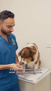 Receive 1 monthly dose free when you purchase 1 x 3 or 6 pack of Simparica Trio. T&C's apply. Offer valid until 7/12/2026 or while stocks last. Stock may vary instore and online. | Petbarn