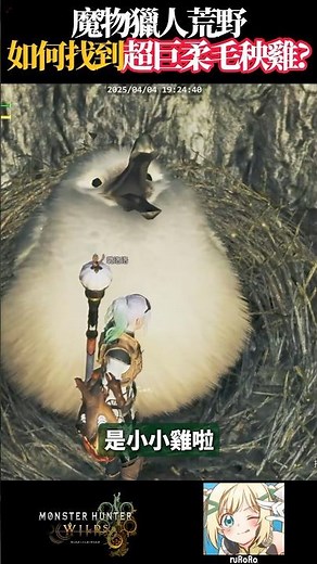 大集會所竟然有隻超巨大柔毛秧雞！？🤩 #魔物獵人荒野 #monsterhunterwilds #璐洛洛