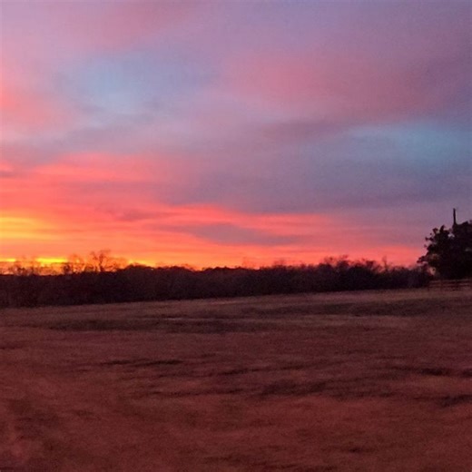 Ladybug Lane Flower Farm on Reels | Facebook