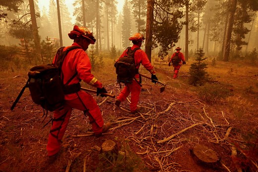 California prison inmates become a critical resource for fighting wildfires