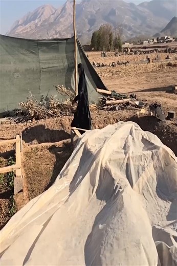 #EP319: Her dream destroyed, her spirit tested — Grandma’s house reduced to ruins. 😞 #ViralReels #TrendingVideos #EmotionalStory #NeverGiveUp | Mara Guerrero