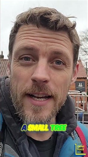 Using a Cherry Picker for the Smallest Christmas Tree Ever 🎄😂