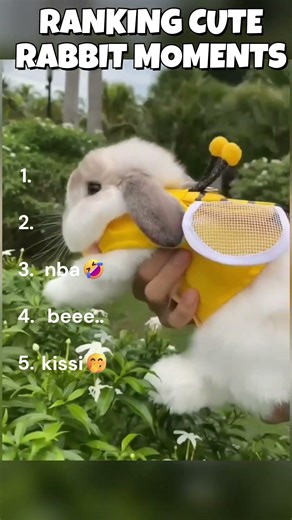 5 Cutest Rabbit Moments That Will Melt Your Heart!