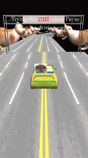 I'm so good at driving games