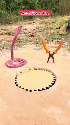 Top Movie and Film Scene Moments