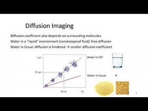 Diffusion MRI | Quantitative MRI #2