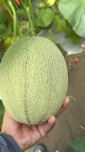 Green Farm Forum on Instagram