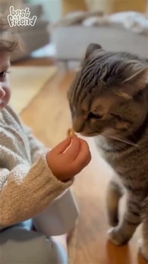 My cat is currently running a very successful "protection racket" involving O-shaped cereal. #cat