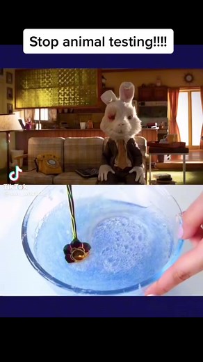 Stop Animal Testing: Cruelty-Free Makeup Alternatives