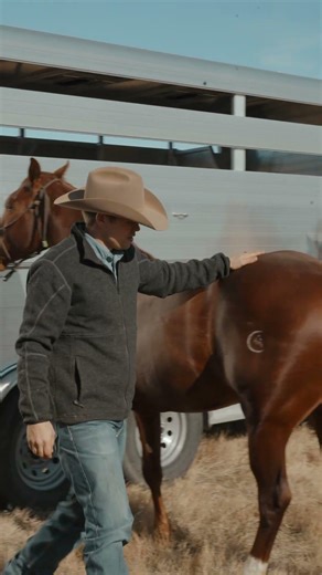 Best Tool Box on the Market!