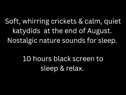 Soft whirring crickets, calm quiet katydids in August black screen sleep relax 10 hour cricket sound