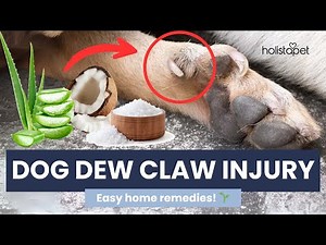 How to Treat a Dog Dew Claw Injury at Home