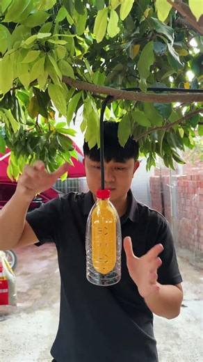 Protection for electrical terminals #shorts