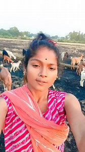 Mera contact number | pirya