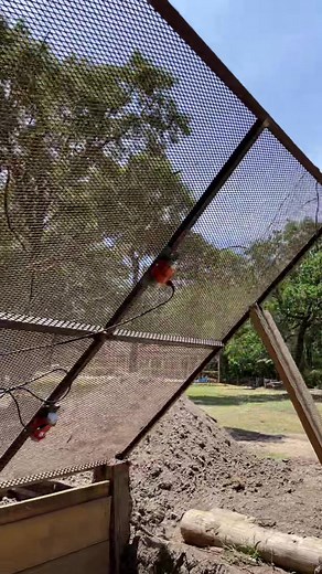 Topsoil Screener Running Demo | DIY Soil Screener Setup