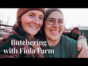 Learning to Butcher a Sheep with Fiola Farm