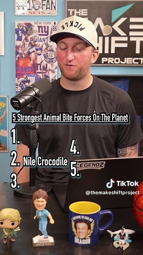 Top 5 Animals With the Strongest Bite Force
