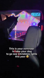 276K views · 68K reactions | Every year, we take Diesel to go see Christmas lights. It’s a family tradition and he loves it 殺 Do you take your pups to see the lights too? #doberman #dogs #dog | diesel_dobie | Facebook