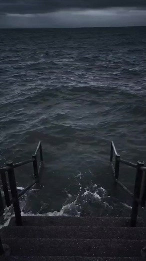 Meme Cheems: Những Khoảnh Khắc Hài Hước Nhất