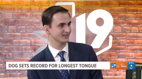 Dog sets world record for longest tongue