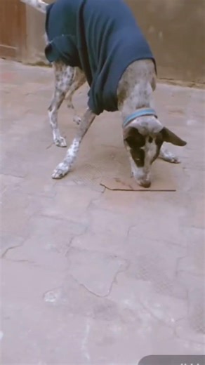 im angry with relative