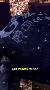 108K views · 538 reactions | First Step Techniques & Tricks Formin Roots & Stems With Character. #bonsaidunia #fbviral #reelsfb #fyp | Mahfud Prabowo | Facebook