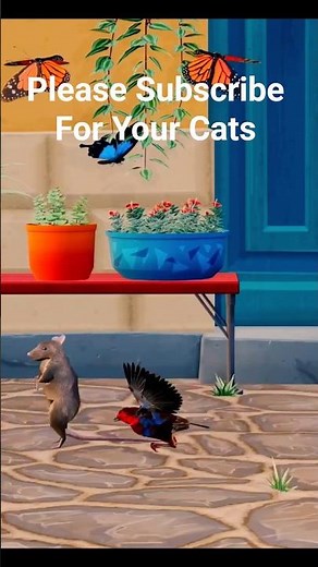 Cat Entertainment Videos 🐱 Lizard, Mouse, Birds & Bugs to Watch | Cat TV
