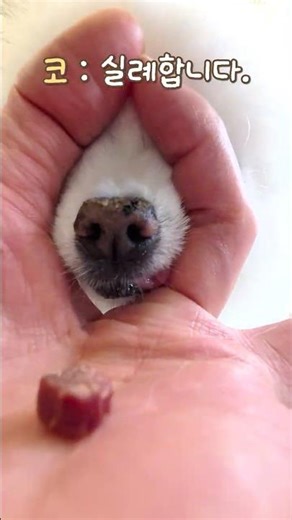 Nose: Excuse me