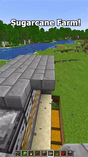 Minecraft Sugarcane Farm!#minecraft #shorts